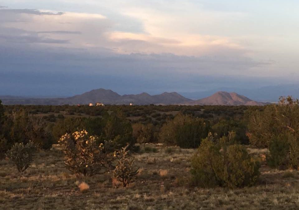 Finding an introvert’s paradise in New Mexico